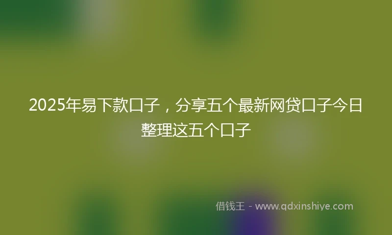 2025年易下款口子，分享五个最新网贷口子今日整理这五个口子