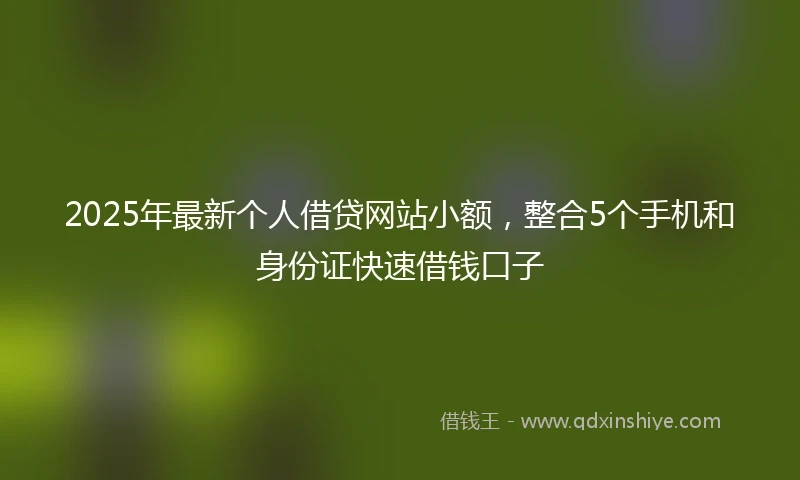 2025年最新个人借贷网站小额，整合5个手机和身份证快速借钱口子