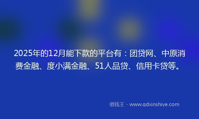 2025年的12月能下款的平台有：团贷网、中原消费金融、度小满金融、51人品贷、信用卡贷等。