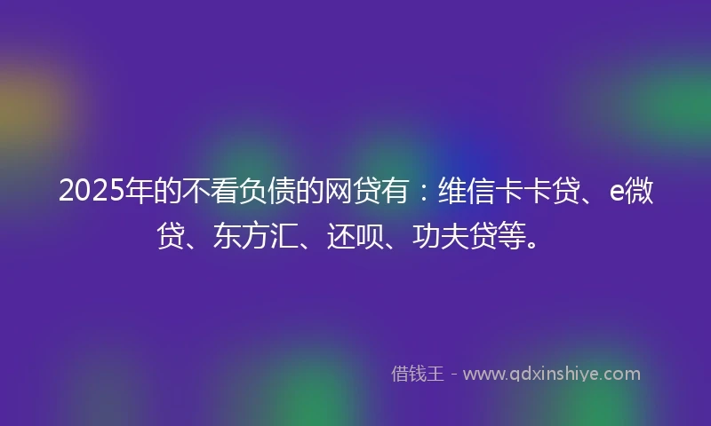 2025年的不看负债的网贷有：维信卡卡贷、e微贷、东方汇、还呗、功夫贷等。