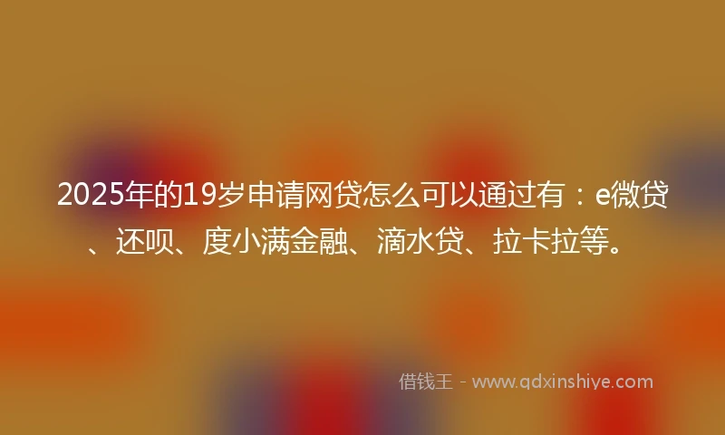 2025年的19岁申请网贷怎么可以通过有：e微贷、还呗、度小满金融、滴水贷、拉卡拉等。