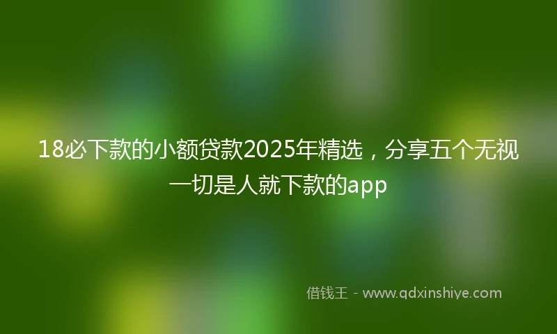 18必下款的小额贷款2025年精选，分享五个无视一切是人就下款的app