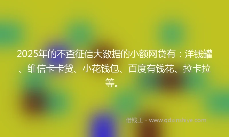 2025年的不查征信大数据的小额网贷有：洋钱罐、维信卡卡贷、小花钱包、百度有钱花、拉卡拉等。
