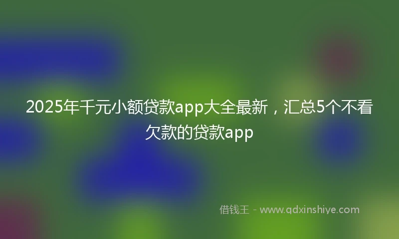 2025年千元小额贷款app大全最新，汇总5个不看欠款的贷款app