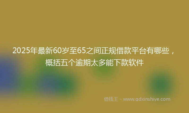 2025年最新60岁至65之间正规借款平台有哪些，概括五个逾期太多能下款软件