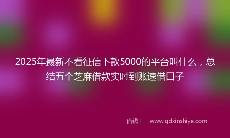 2025年最新不看征信下款5000的平台叫什么，总结五个芝麻借款实时到账速借口子
