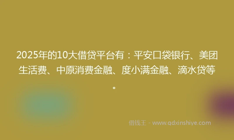 2025年的10大借贷平台有：平安口袋银行、美团生活费、中原消费金融、度小满金融、滴水贷等。