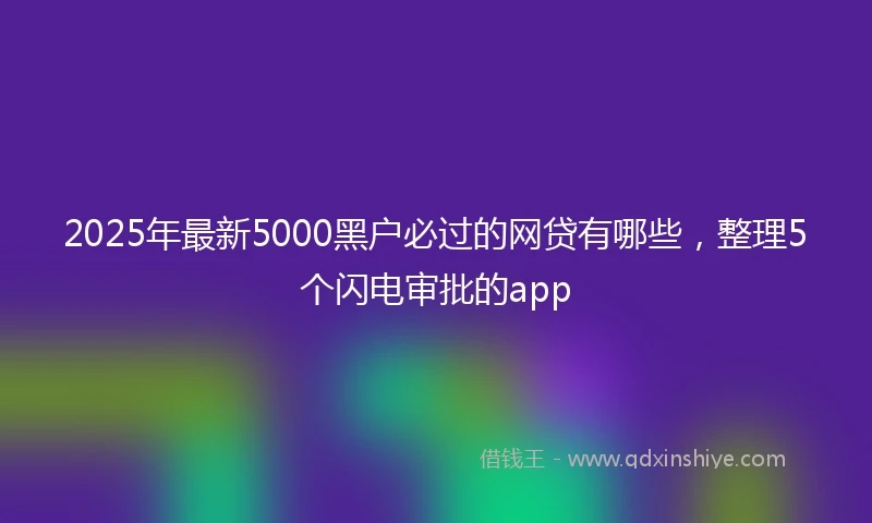 2025年最新5000黑户必过的网贷有哪些，整理5个闪电审批的app