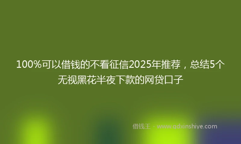 100%可以借钱的不看征信2025年推荐，总结5个无视黑花半夜下款的网贷口子