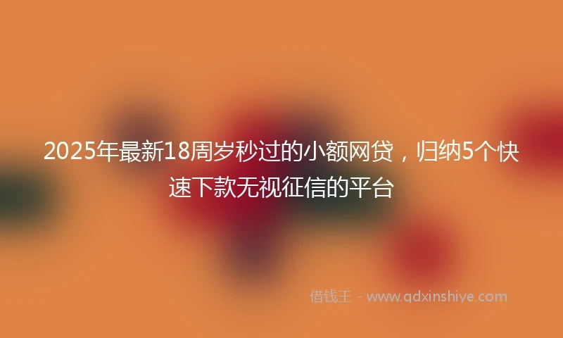2025年最新18周岁秒过的小额网贷，归纳5个快速下款无视征信的平台