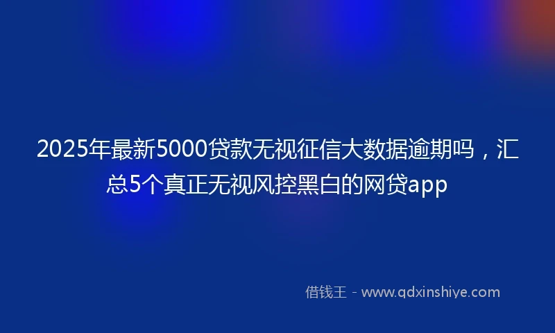 2025年最新5000贷款无视征信大数据逾期吗，汇总5个真正无视风控黑白的网贷app