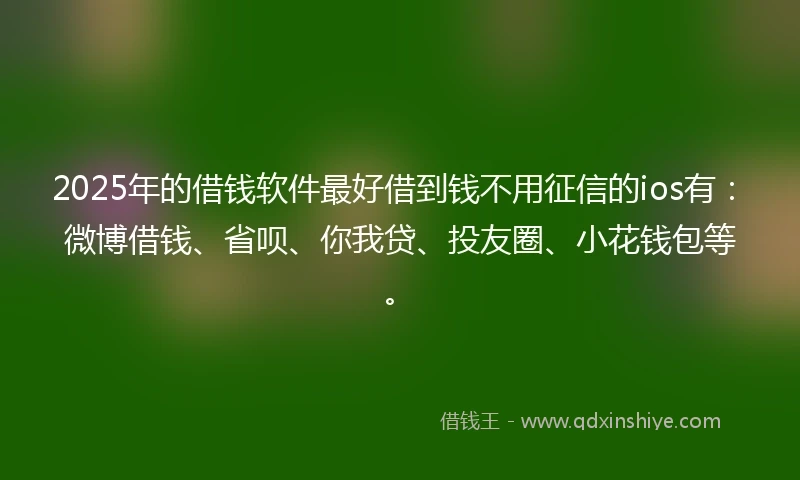 2025年的借钱软件最好借到钱不用征信的ios有：微博借钱、省呗、你我贷、投友圈、小花钱包等。