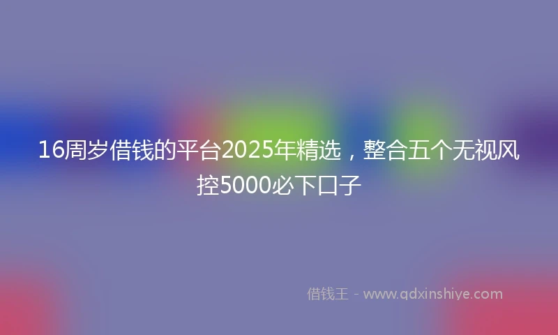 16周岁借钱的平台2025年精选，整合五个无视风控5000必下口子