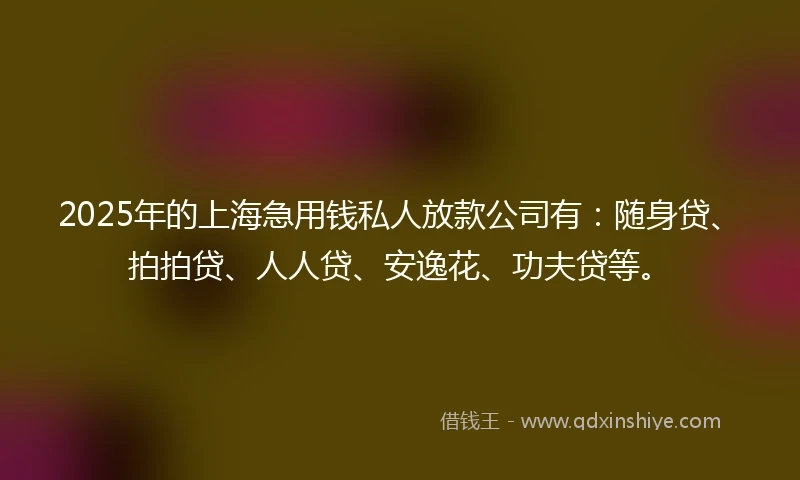 2025年的上海急用钱私人放款公司有：随身贷、拍拍贷、人人贷、安逸花、功夫贷等。