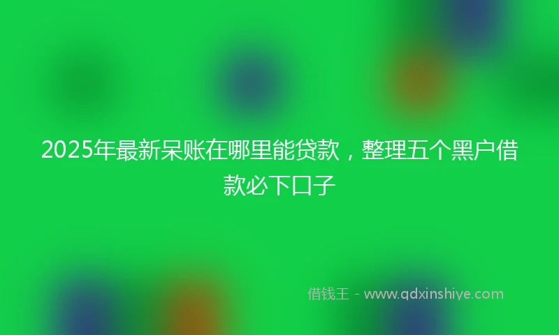 2025年最新呆账在哪里能贷款，整理五个黑户借款必下口子