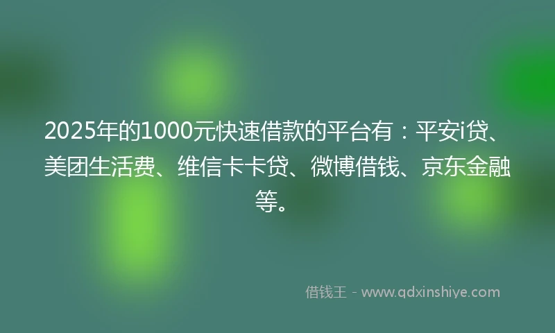 2025年的1000元快速借款的平台有：平安i贷、美团生活费、维信卡卡贷、微博借钱、京东金融等。