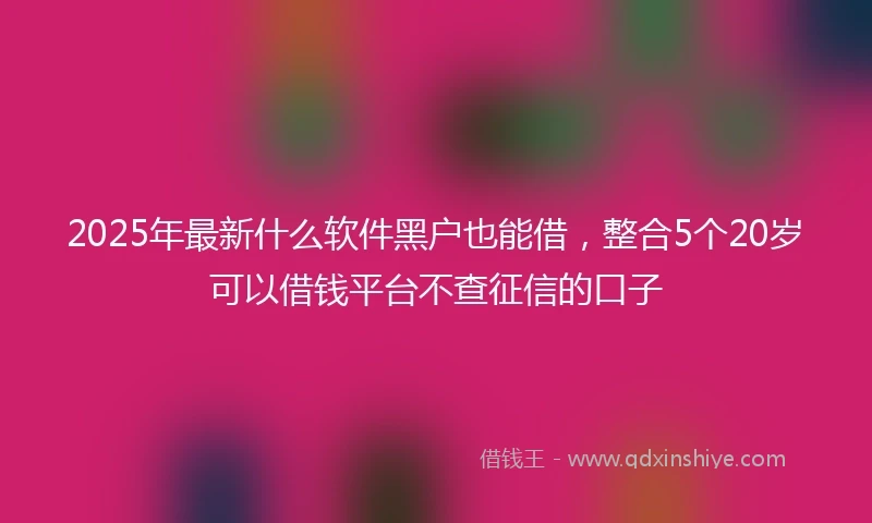 2025年最新什么软件黑户也能借，整合5个20岁可以借钱平台不查征信的口子