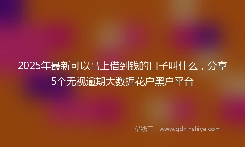 2025年最新可以马上借到钱的口子叫什么，分享5个无视逾期大数据花户黑户平台
