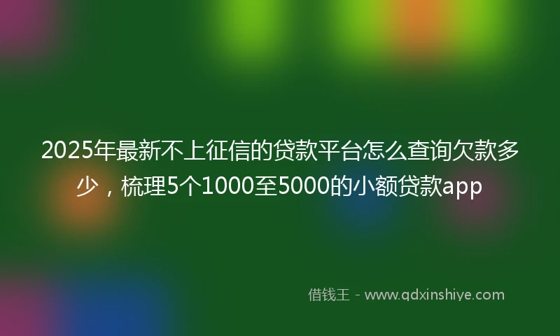 2025年最新不上征信的贷款平台怎么查询欠款多少，梳理5个1000至5000的小额贷款app