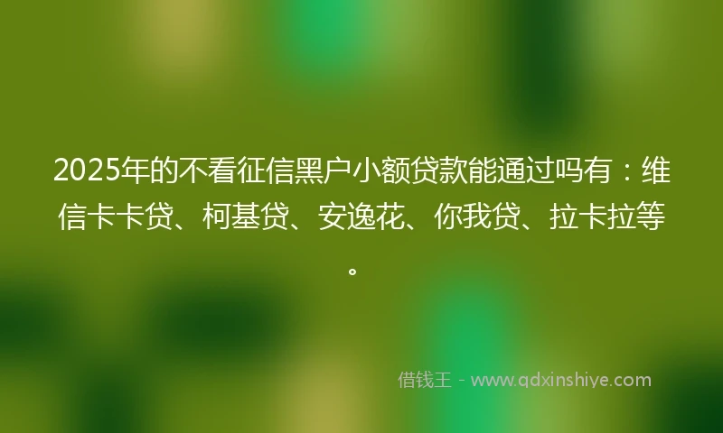2025年的不看征信黑户小额贷款能通过吗有：维信卡卡贷、柯基贷、安逸花、你我贷、拉卡拉等。