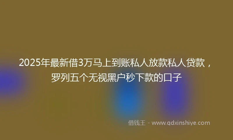 2025年最新借3万马上到账私人放款私人贷款，罗列五个无视黑户秒下款的口子