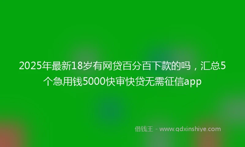 2025年最新18岁有网贷百分百下款的吗，汇总5个急用钱5000快审快贷无需征信app