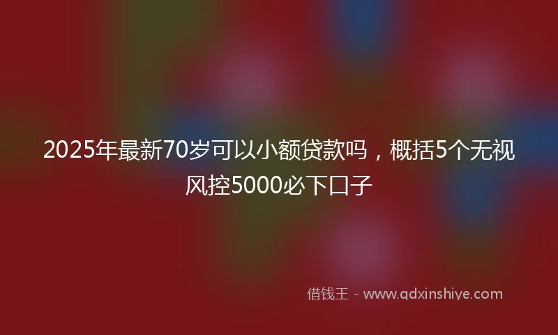 2025年最新70岁可以小额贷款吗，概括5个无视风控5000必下口子