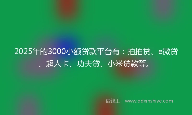 2025年的3000小额贷款平台有：拍拍贷、e微贷、超人卡、功夫贷、小米贷款等。