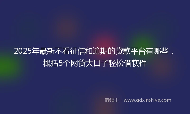 2025年最新不看征信和逾期的贷款平台有哪些，概括5个网贷大口子轻松借软件