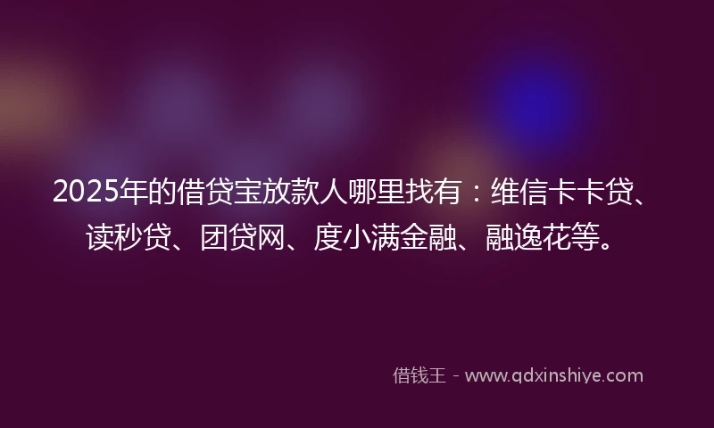 2025年的借贷宝放款人哪里找有：维信卡卡贷、读秒贷、团贷网、度小满金融、融逸花等。