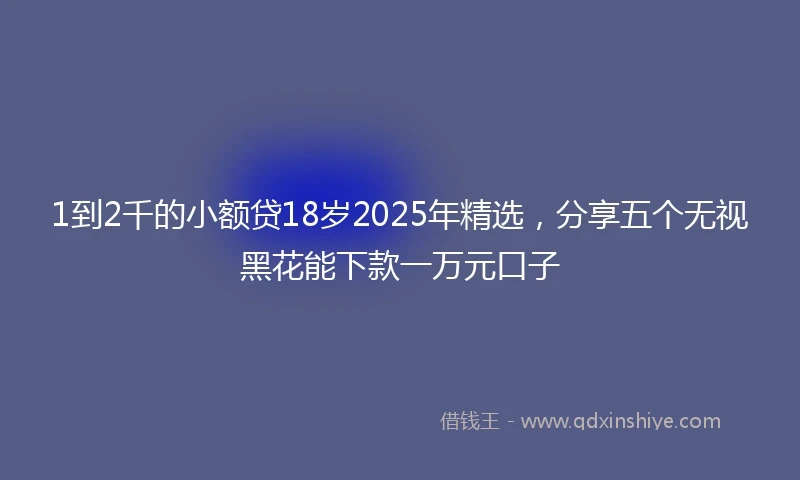 1到2千的小额贷18岁2025年精选，分享五个无视黑花能下款一万元口子