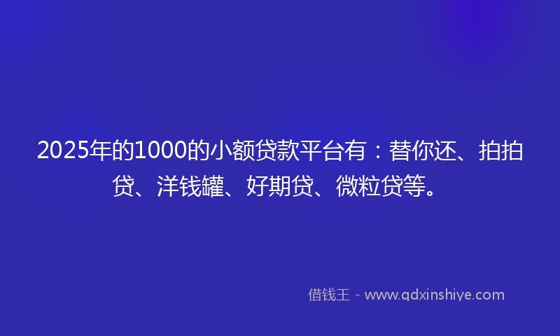 2025年的1000的小额贷款平台有：替你还、拍拍贷、洋钱罐、好期贷、微粒贷等。