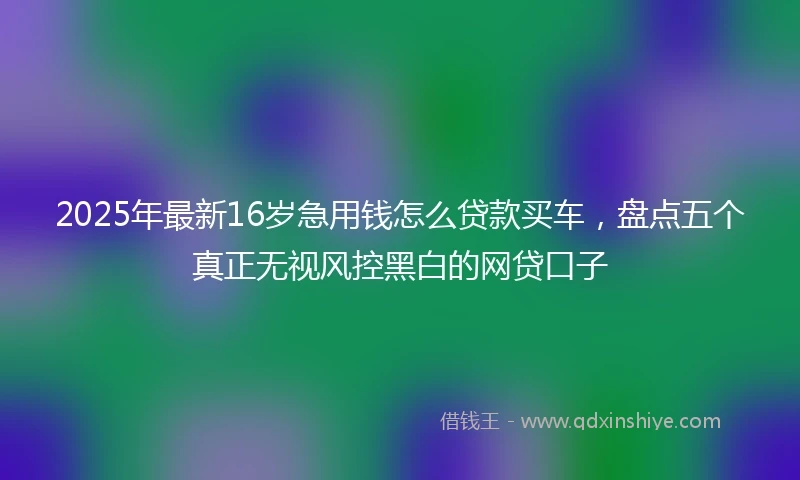 2025年最新16岁急用钱怎么贷款买车，盘点五个真正无视风控黑白的网贷口子