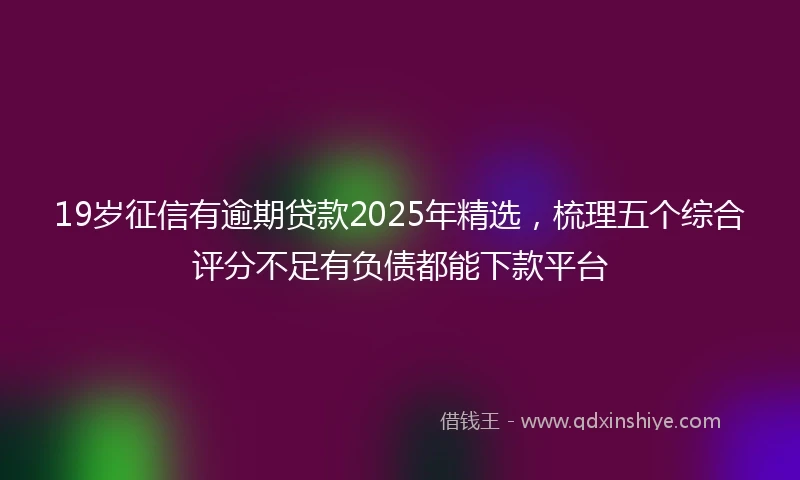 19岁征信有逾期贷款2025年精选，梳理五个综合评分不足有负债都能下款平台