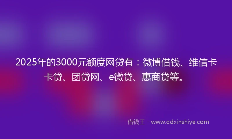 2025年的3000元额度网贷有：微博借钱、维信卡卡贷、团贷网、e微贷、惠商贷等。