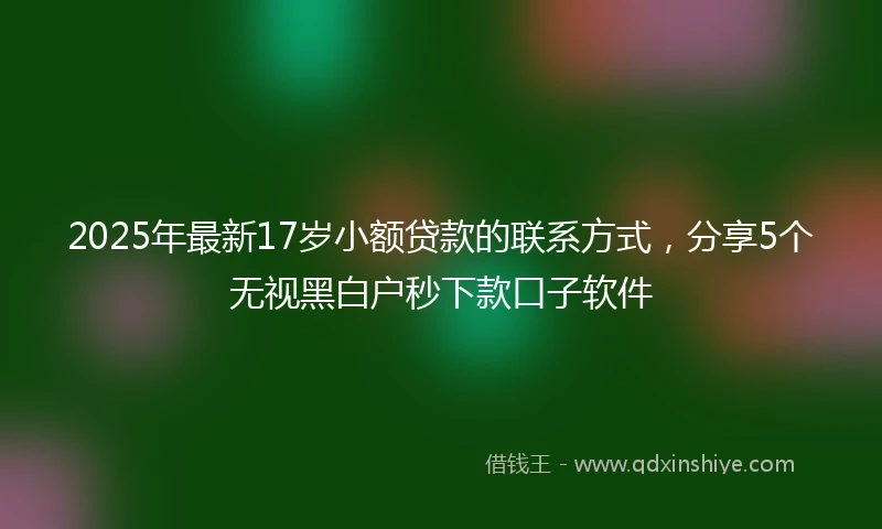 2025年最新17岁小额贷款的联系方式，分享5个无视黑白户秒下款口子软件