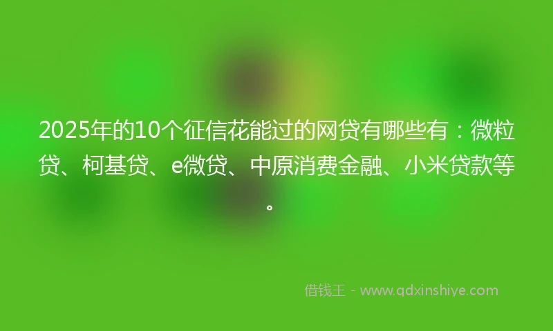 2025年的10个征信花能过的网贷有哪些有：微粒贷、柯基贷、e微贷、中原消费金融、小米贷款等。