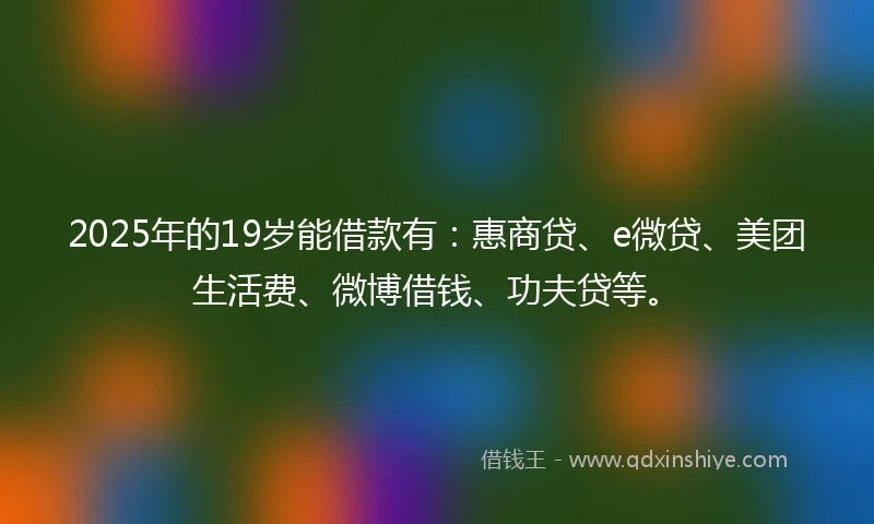 2025年的19岁能借款有：惠商贷、e微贷、美团生活费、微博借钱、功夫贷等。