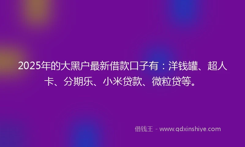 2025年的大黑户最新借款口子有：洋钱罐、超人卡、分期乐、小米贷款、微粒贷等。
