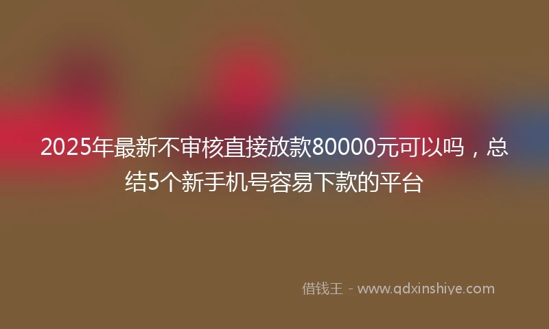 2025年最新不审核直接放款80000元可以吗，总结5个新手机号容易下款的平台