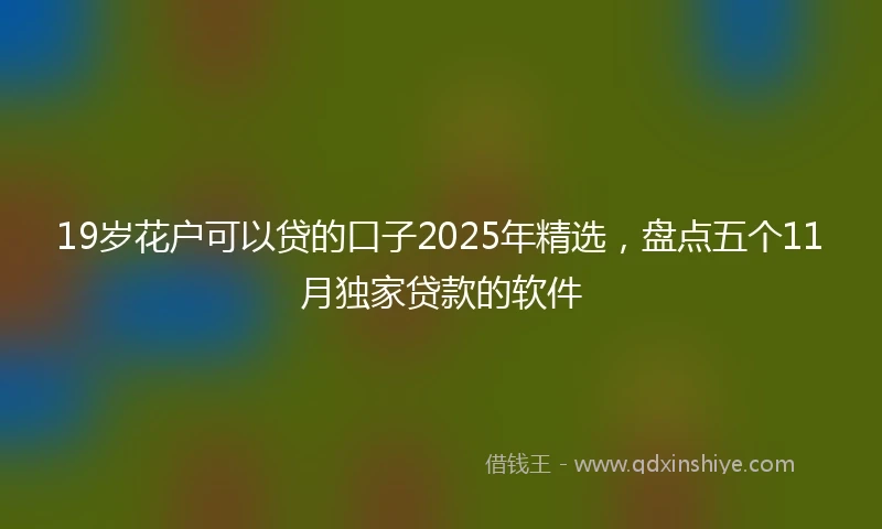 19岁花户可以贷的口子2025年精选，盘点五个11月独家贷款的软件