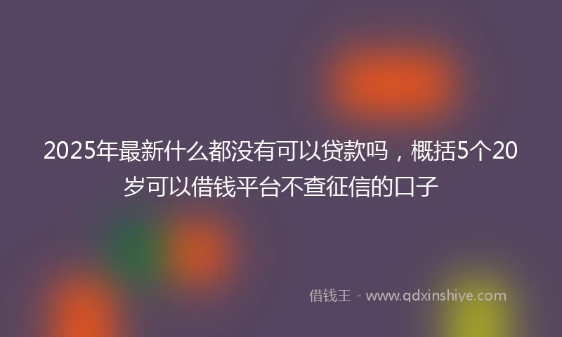 2025年最新什么都没有可以贷款吗，概括5个20岁可以借钱平台不查征信的口子