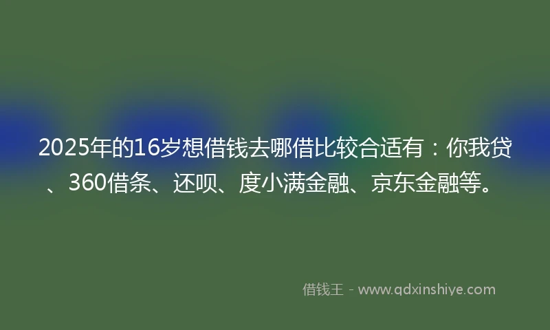 2025年的16岁想借钱去哪借比较合适有：你我贷、360借条、还呗、度小满金融、京东金融等。
