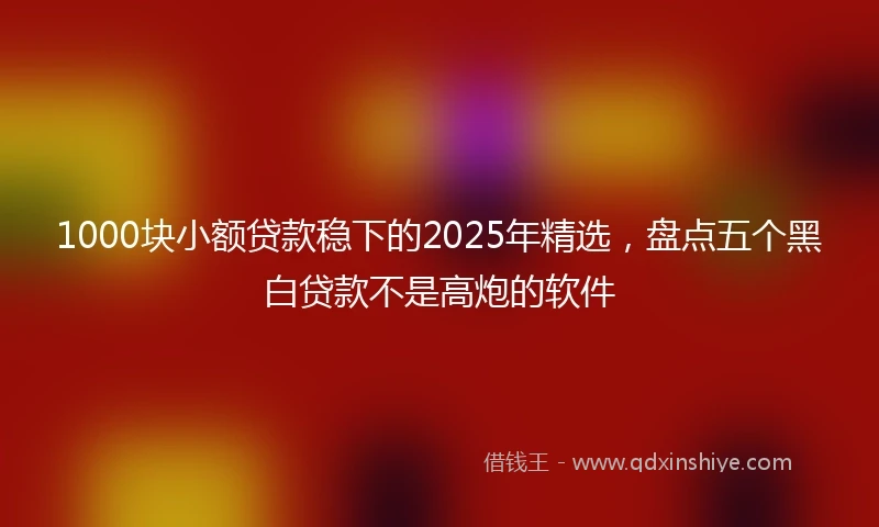 1000块小额贷款稳下的2025年精选，盘点五个黑白贷款不是高炮的软件