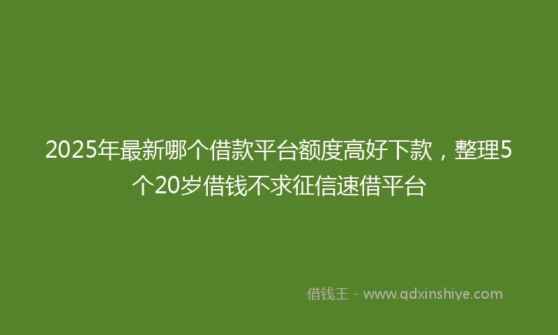 2025年最新哪个借款平台额度高好下款，整理5个20岁借钱不求征信速借平台