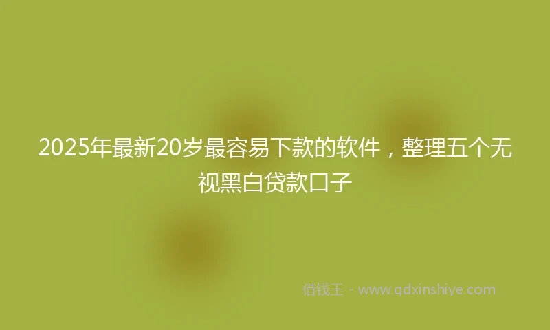 2025年最新20岁最容易下款的软件，整理五个无视黑白贷款口子