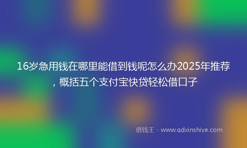 16岁急用钱在哪里能借到钱呢怎么办2025年推荐，概括五个支付宝快贷轻松借口子
