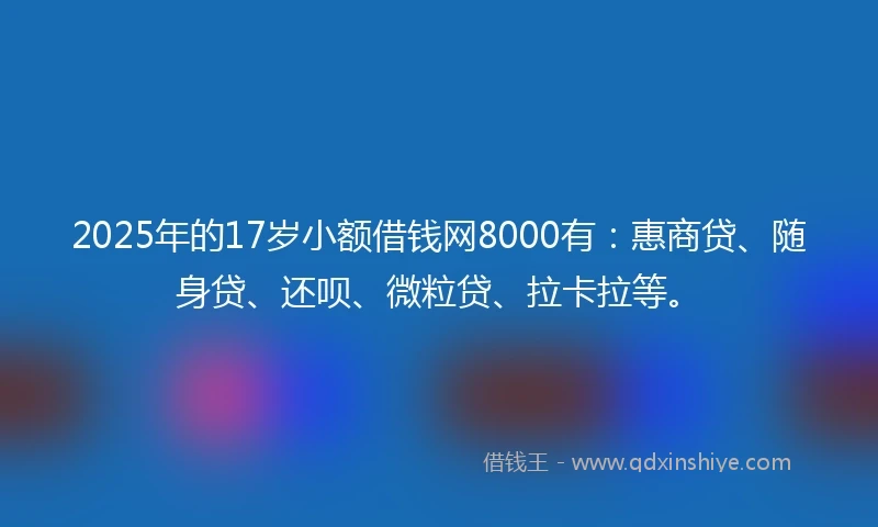 2025年的17岁小额借钱网8000有：惠商贷、随身贷、还呗、微粒贷、拉卡拉等。