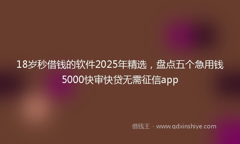 18岁秒借钱的软件2025年精选，盘点五个急用钱5000快审快贷无需征信app