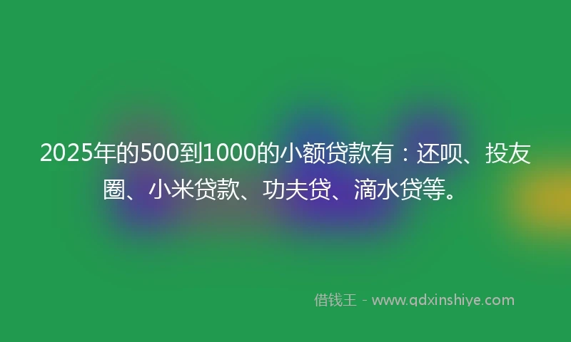 2025年的500到1000的小额贷款有：还呗、投友圈、小米贷款、功夫贷、滴水贷等。